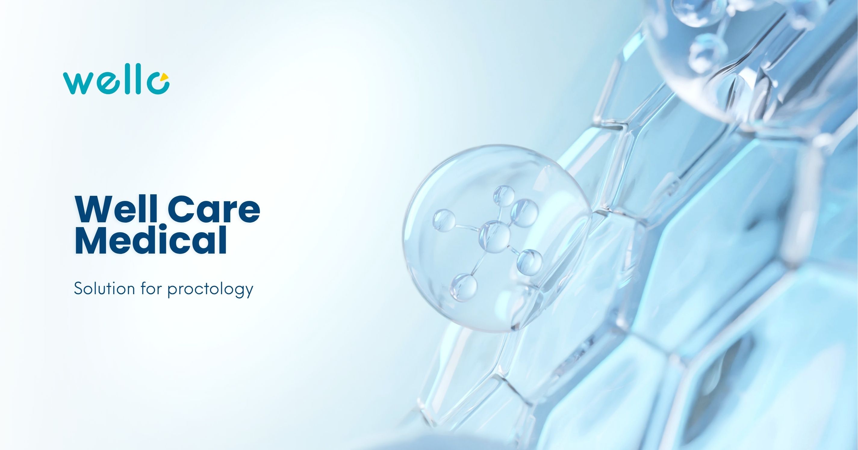 About Wello Medical